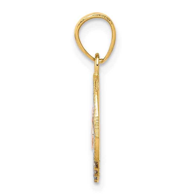 14k Two-tone with White Rhodium CZ 15 in Circle Pendant