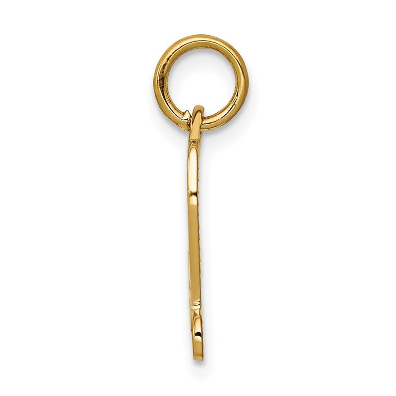 14k DIPLOMA Engravable Charm