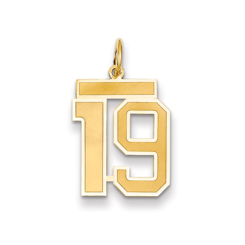 14k Medium Satin Number 19 Charm