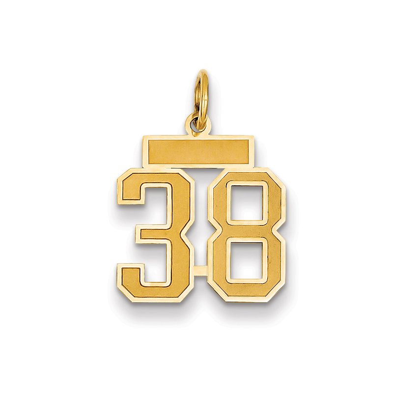 14k Small Satin Number 38 Charm