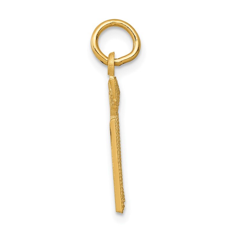 14k Diamond-cut RN Registered Nurse Charm