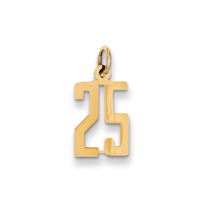 14k Small Elongated Number 25 Charm