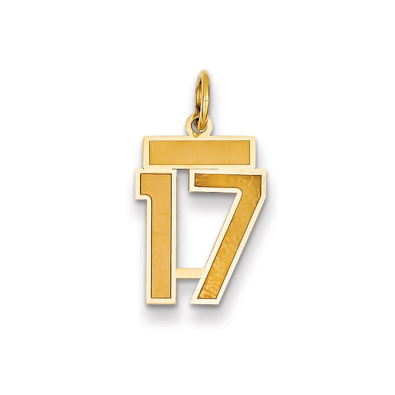 14k Small Satin Number 17 Charm