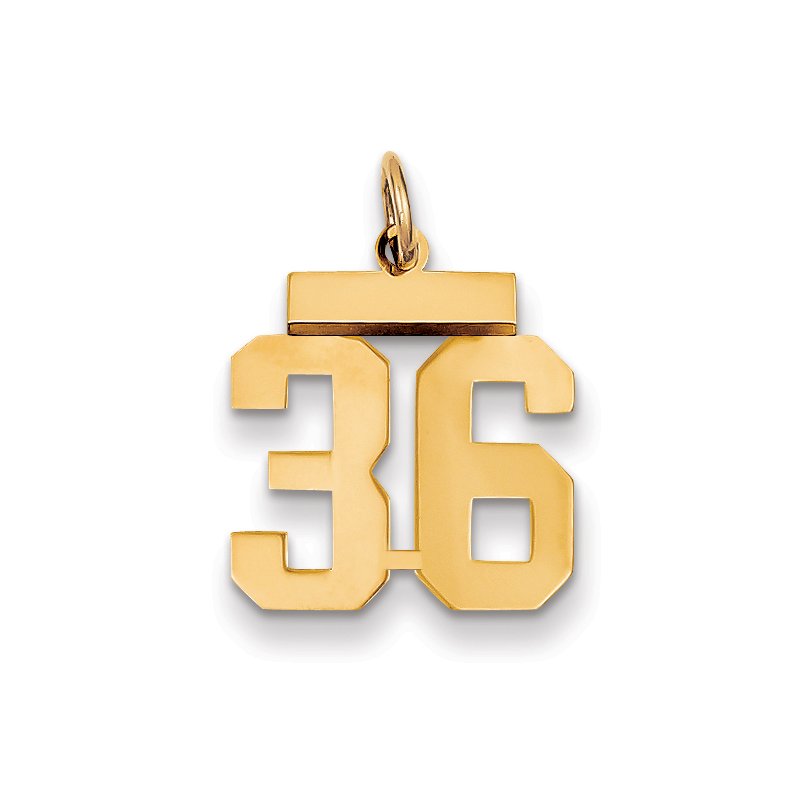 14k Small Polished Number 36 Charm