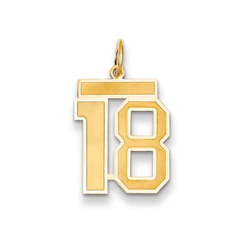 14k Medium Satin Number 18 Charm