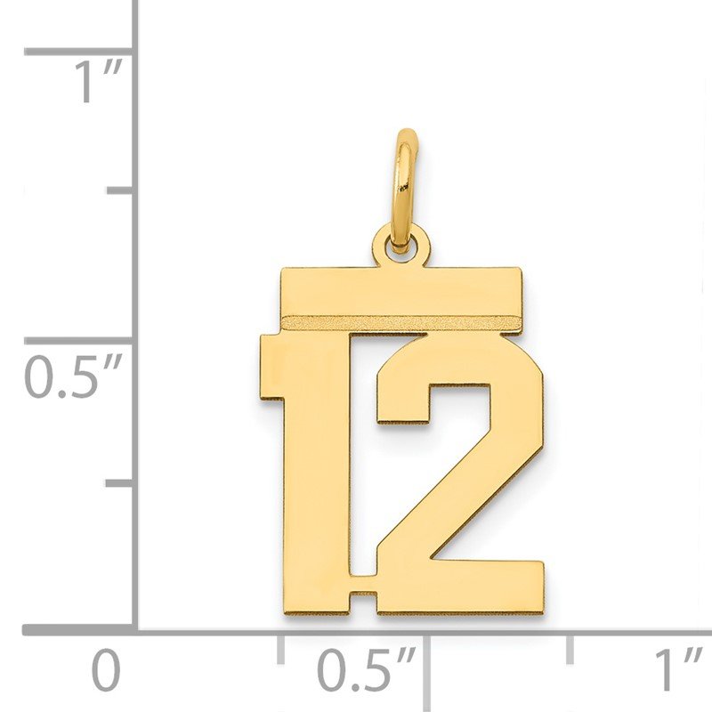 14k Small Polished Number 12 Charm