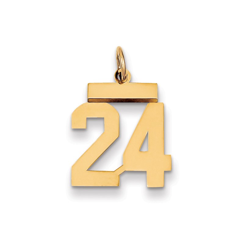 14k Small Polished Number 24 Charm