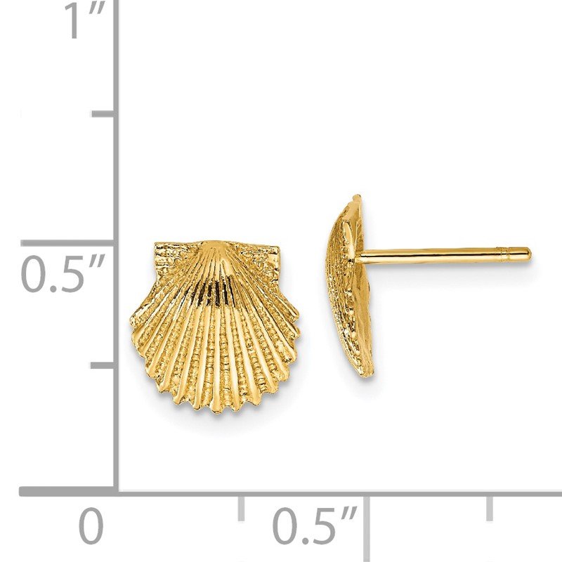 14k Scallop Shell Post Earrings