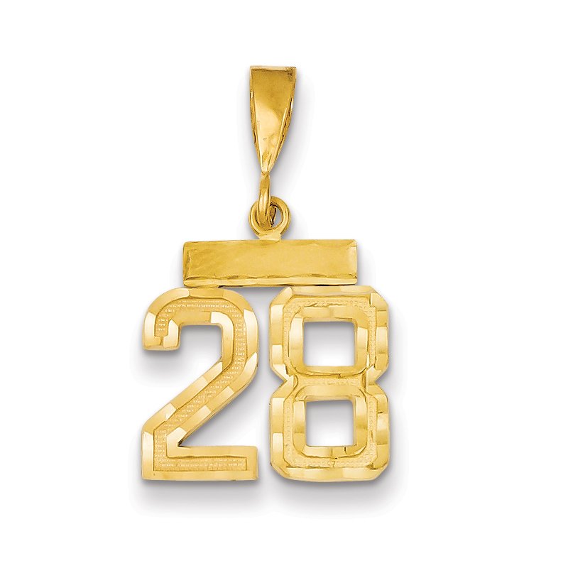 14k Small Brushed Diamond-cut Number 28 Charm