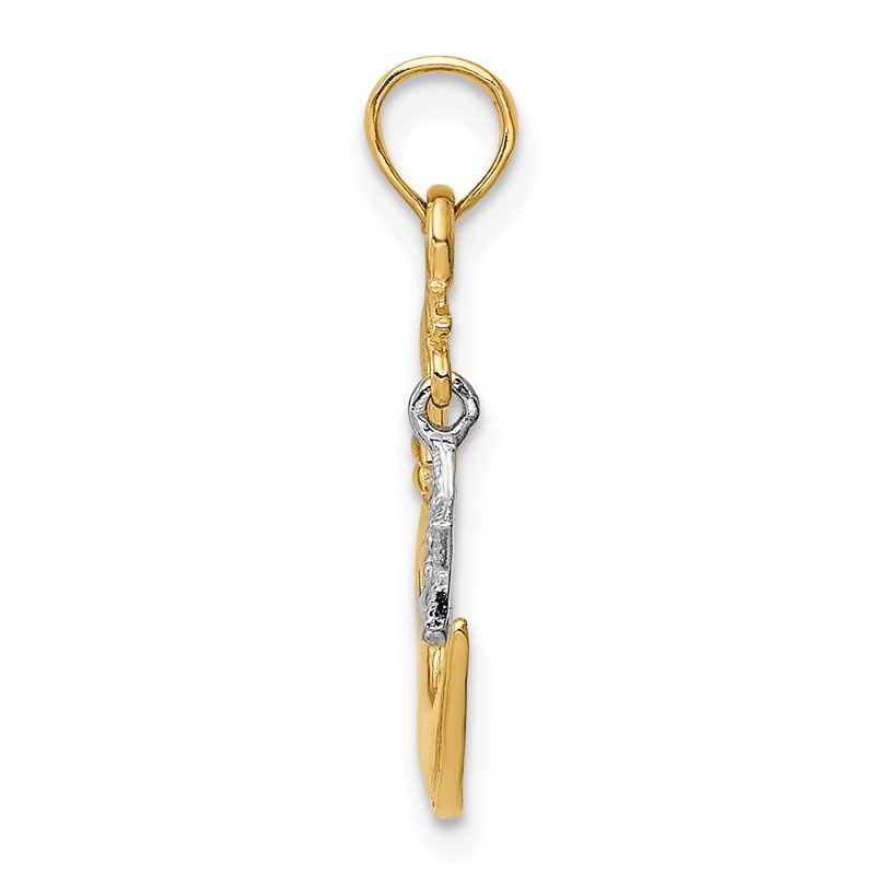14k Two-Tone Polished Half Moon and Dangle Star Pendant