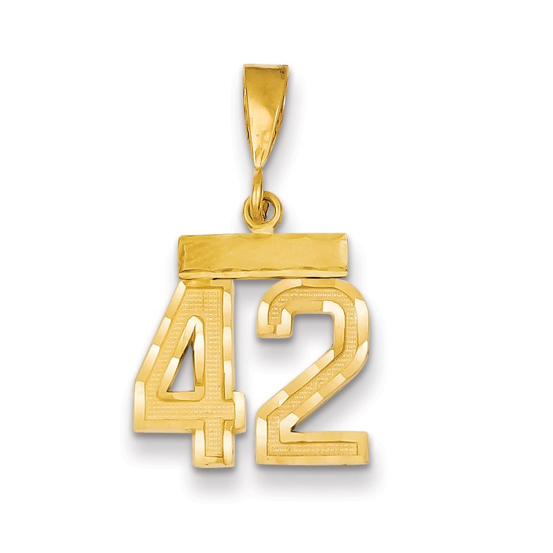 14k Small Brushed Diamond-cut Number 42 Charm