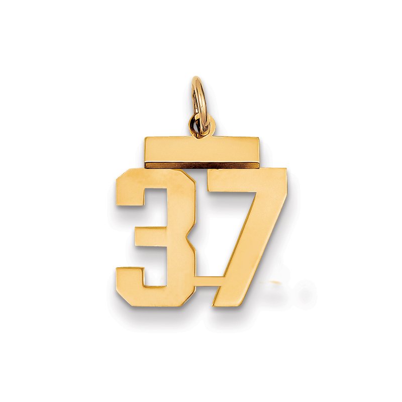 14k Small Polished Number 37 Charm