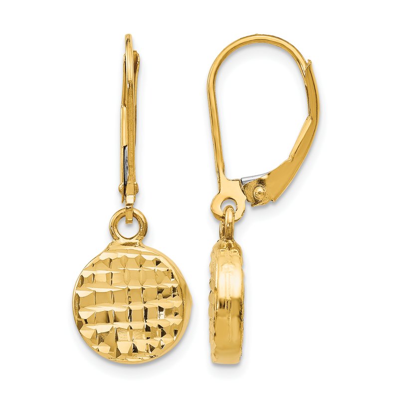 14K Polished D/C Leverback Earrings