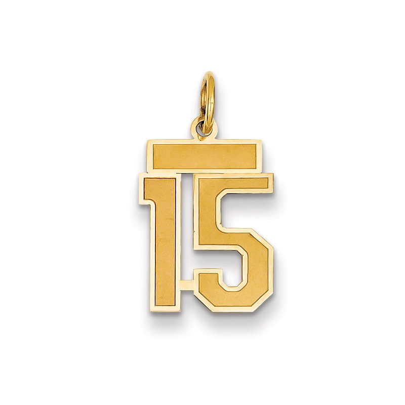 14k Small Satin Number 15 Charm