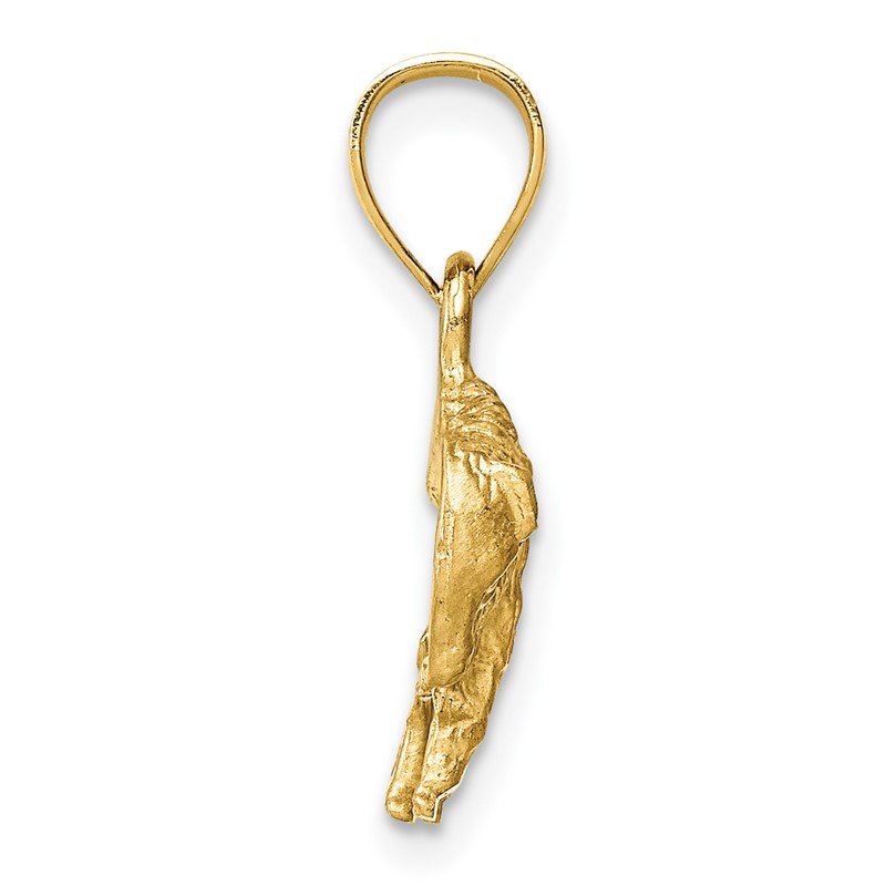 14K Satin Diamond-cut Buffalo Pendant