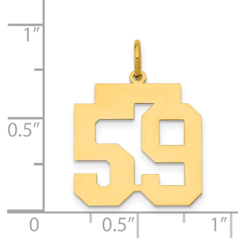 14k Medium Polished Number 59 Charm