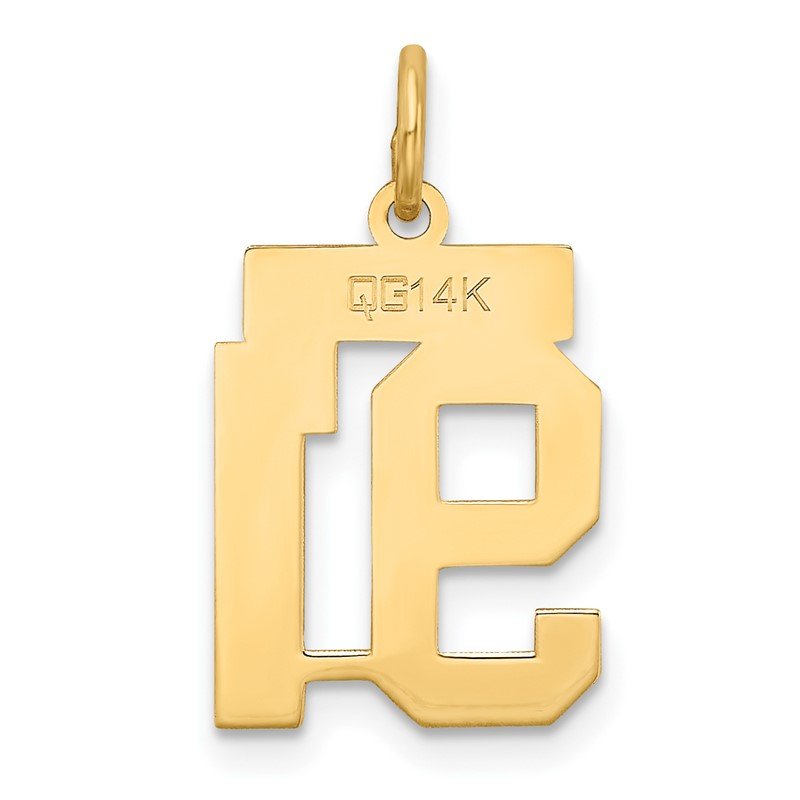 14k Small Satin Number 91 Charm