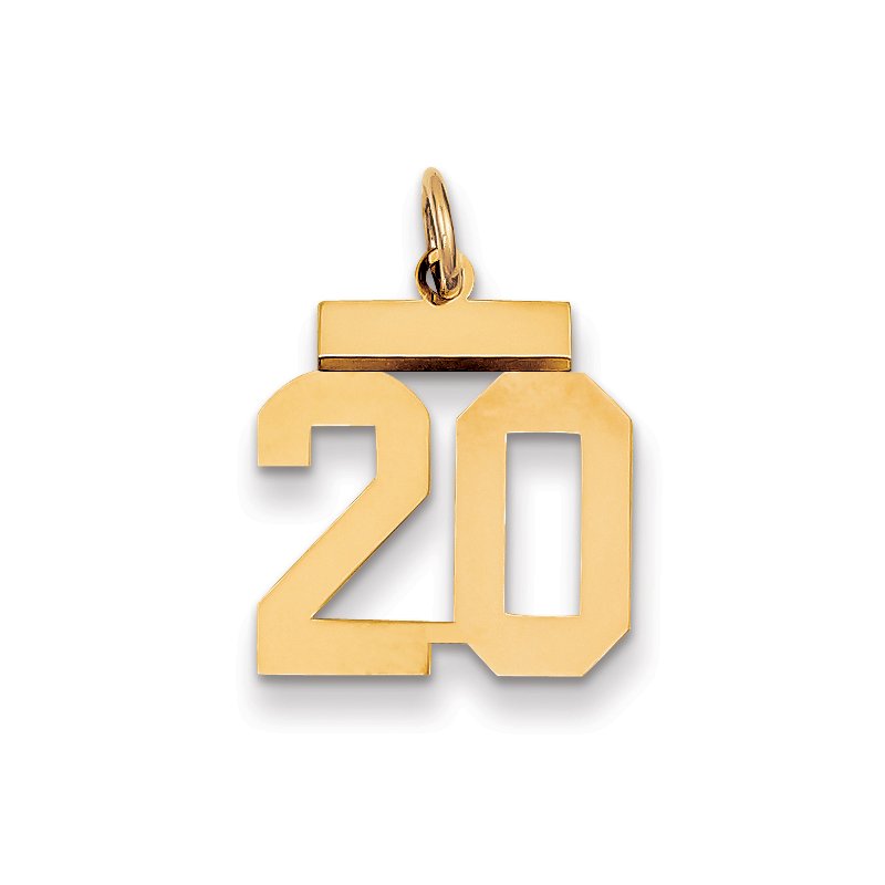 14k Small Polished Number 20 Charm