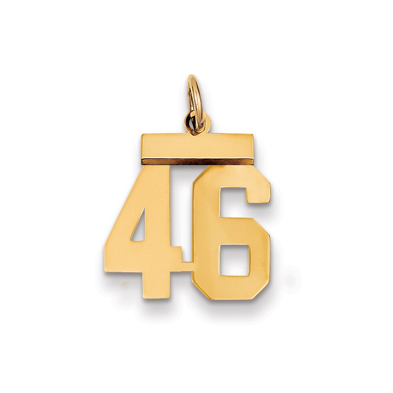 14k Small Polished Number 46 Charm
