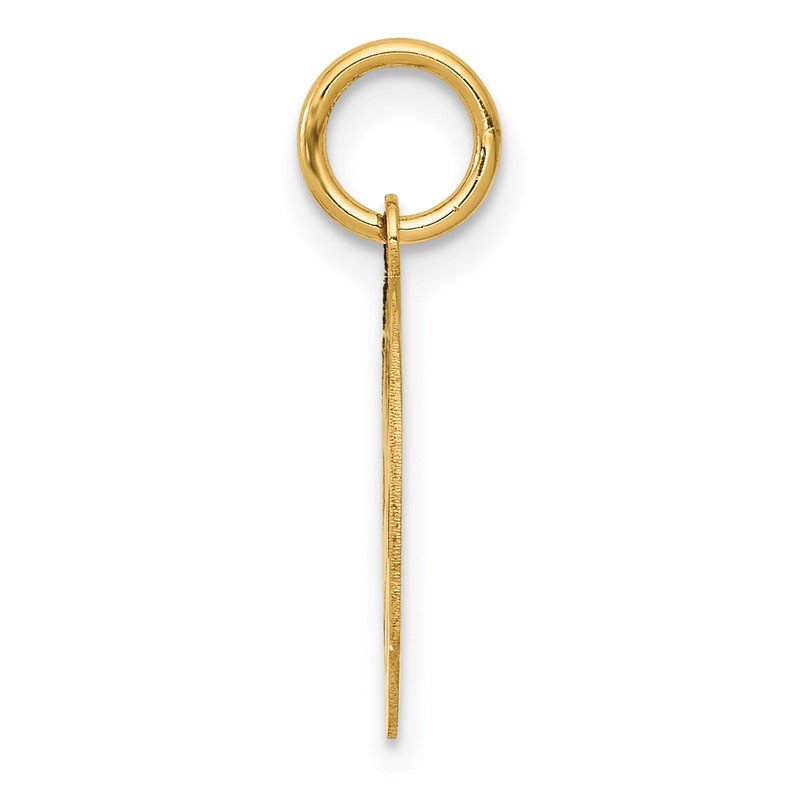 14k Small PARAMEDIC Medical Charm