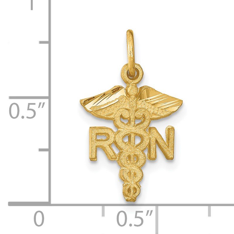 14k RN Registered Nurse Charm