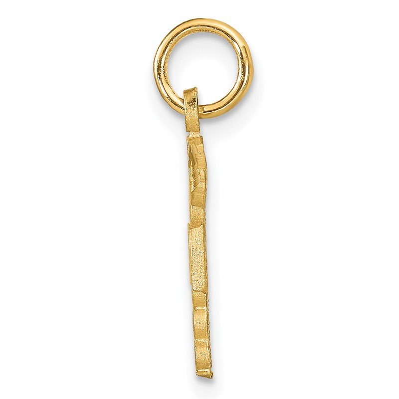 14k RN Registered Nurse Charm